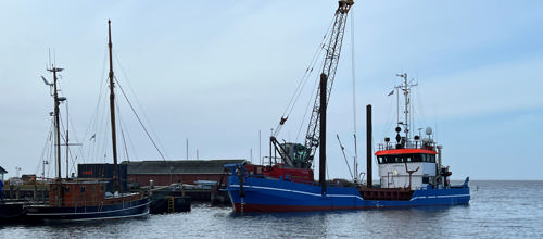 Havneoprensning i Ringkøbing Havn